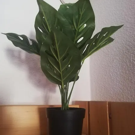 Au Pied Des Pistes * Bagnères-de-Bigorre