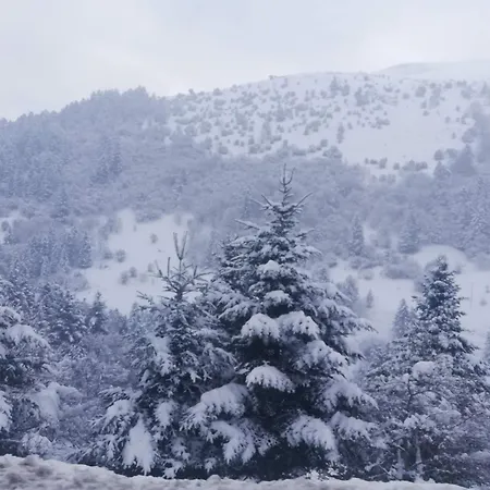 Апартаменты Au Pied Des Pistes